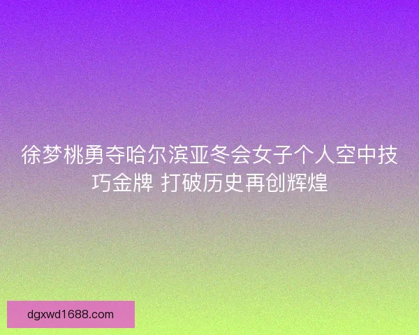 徐梦桃勇夺哈尔滨亚冬会女子个人空中技巧金牌 打破历史再创辉煌