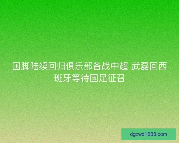 国脚陆续回归俱乐部备战中超 武磊回西班牙等待国足征召