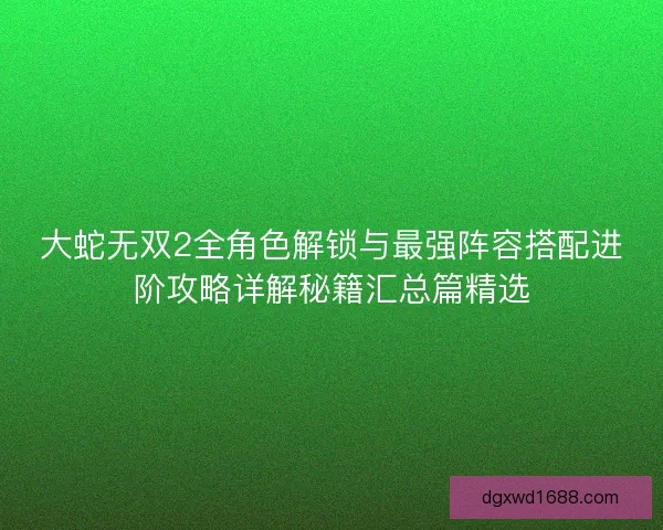 大蛇无双2全角色解锁与最强阵容搭配进阶攻略详解秘籍汇总篇精选 大蛇无双2全角色解锁与最强阵容搭配进阶攻略详解秘籍汇总篇精选